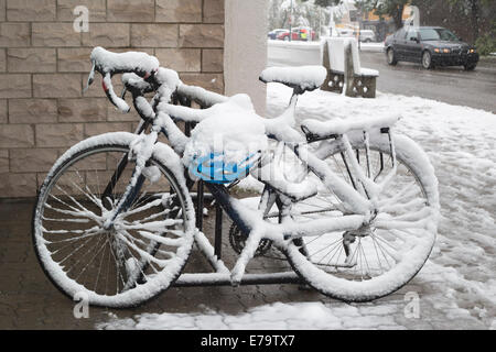 Calgary (Alberta), Canada, 10 septembre 2014. La neige couvre un vélo dans le quartier de Hillhurst. Le centre des opérations d'urgence de Calgary a ouvert ses portes en réponse à la tempête de la fin de l'été. Le maire Nenshi a annoncé sur Twitter que les priorités de 3 sont la sécurité publique, la restauration de l'énergie et le dégagement des débris. Crédit : Rosanne Tackaberry/Alamy Live News Banque D'Images