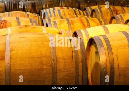 En tonneaux de vin est stocké à la cave le vignoble de Clos LaChance winery à San Martin, Californie Banque D'Images