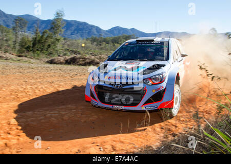 Coffs Harbour, Australie, jeudi, 11 Septembre, 2014. Le pilote australien Chris Atkinson oriente sa Hyundai i20 Wrc face voiture par un coin en épingle au cours de dernier shakedown pratique dans l'approche de rallye d'Australie. Atkins et son co-pilote Stephane Prevot sera à la recherche d'utiliser leur avantage au cours de la fin de semaine. Credit : Russell Hunter/Alamy Live News Banque D'Images