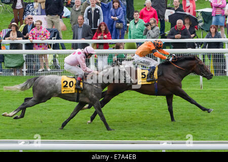 Courses de New York le week-end 2012 Ebor Banque D'Images