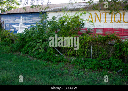 Antiquaire abandonné avec drapeau Texas Texas Pipe Creek, peinture Banque D'Images