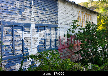 Antiquaire abandonné avec drapeau Texas Texas Pipe Creek, peinture Banque D'Images