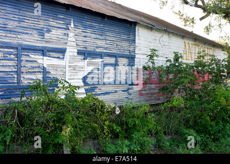 Antiquaire abandonné avec drapeau Texas Texas Pipe Creek, peinture Banque D'Images