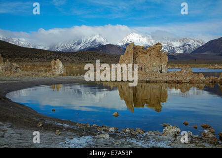 Tours de tuf calcaire au sud de la réserve de tuf, Mono Lake, comté de Mono, et la neige sur la Sierra Nevada, Californie, USA Banque D'Images