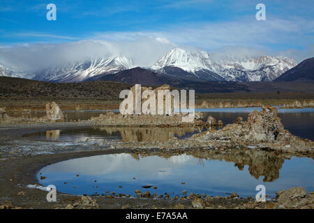 Tours de tuf calcaire au sud de la réserve de tuf, Mono Lake, comté de Mono, et la neige sur la Sierra Nevada, Californie, USA Banque D'Images