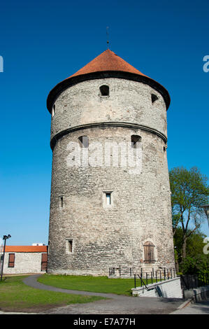 Kiek in de Kök tower, Toompea, remparts, Ville Haute, le centre historique, Tallinn, Estonie, Pays Baltes Banque D'Images