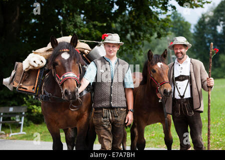 Les agriculteurs avec chevaux, chevaux, vieux Noriques pack-selle sur cheval, Almabtrieb de bétail, Söll, Autriche, Tyrol du Nord Banque D'Images