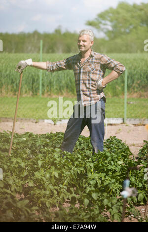 Smiling mature man avec stick standing in vegetable garden Banque D'Images
