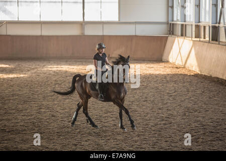 Woman riding horse stable dans la formation Banque D'Images