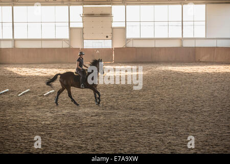 Woman riding horse stable dans la formation Banque D'Images