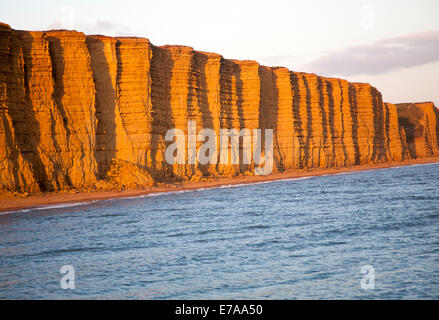 Soirée d'or lumière sur falaises de grès, des falaises de l'Est, West Bay, Bridport, Dorset, Angleterre Banque D'Images