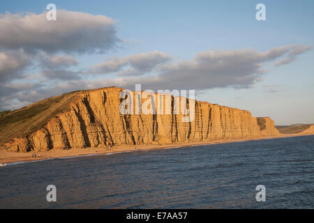 Soirée d'or lumière sur falaises de grès, des falaises de l'Est, West Bay, Bridport, Dorset, Angleterre Banque D'Images