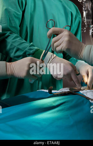 Médecins et infirmières opérant sur un patient dans une salle d'opération, détail des mains Banque D'Images
