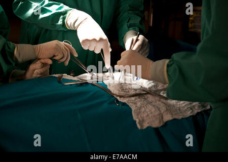Médecins et infirmières opérant sur un patient dans une salle d'opération, détail des mains Banque D'Images