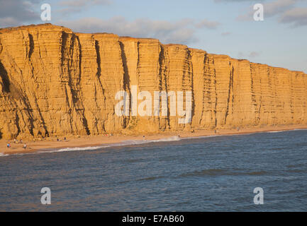 Soirée d'or lumière sur falaises de grès, des falaises de l'Est, West Bay, Bridport, Dorset, Angleterre Banque D'Images