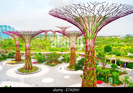 Gardens by the Bay à Singapour. Banque D'Images