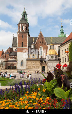 Les touristes visitent le château royal de Wawel et la Cathédrale sur la colline de Wawel avec fleurs en premier plan, Cracovie, Pologne en septembre Banque D'Images