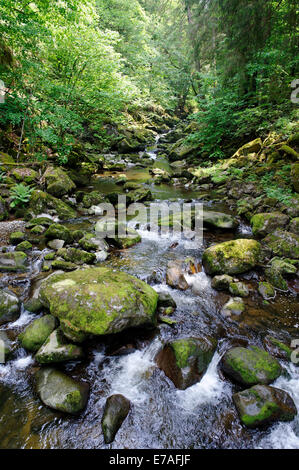 Wolfsteiner Ohe river, Buchberger Leite, geotope Wildbachklamm, forêt de Bavière, Thuringe, Bavière, Allemagne Banque D'Images