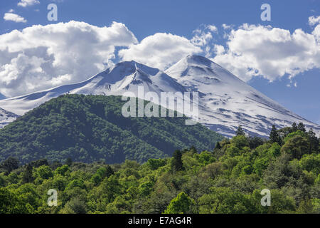 Volcan Llaima, Parc national de Conguillío, Melipeuco, Región de la Araucanía, Chili Banque D'Images