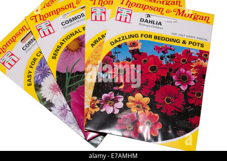 Sachets de graines de fleurs par Thompson et Morgan Banque D'Images