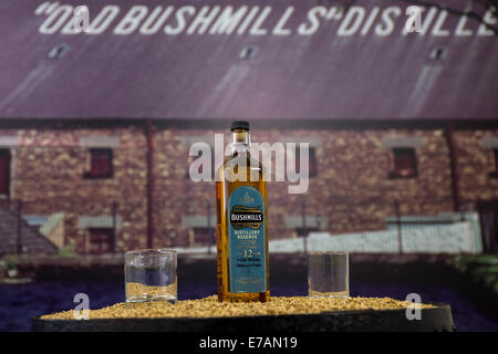 12 ans single malt Bushmills Distillery Réserver whiskey. Banque D'Images