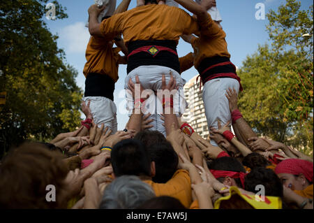 Barcelone, Espagne. Sep 11, 2014. Les gens à Barcelone fait un castell, ou les droits de l'Tower, au cours de la célébration de la fête nationale catalane (La Diada).Une grande manifestation en faveur de l'indépendance a eu lieu dans les rues de Barcelone pendant la fête nationale catalane exigeant la célébration d'un referundum d'une sécession de l'Espagne le 9 novembre prochain. Crédit : Jordi Boixareu/Alamy Live News Banque D'Images