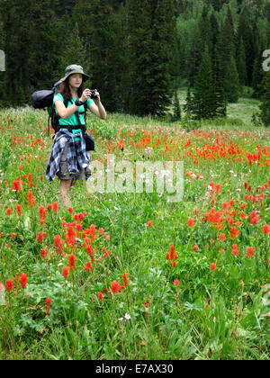 Femme jeune grande randonnée pédestre en fleurs sauvages taking photograph Banque D'Images