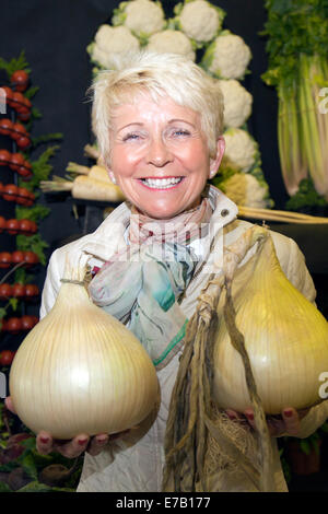 D'énormes oignons blancs primés à Harrogate, dans le Yorkshire, au Royaume-Uni. Collette Owens avec des oignons géants au salon annuel des fleurs d'automne de Harrogate, les attractions incluent le concours de légumes géants, est classé comme l'un des trois principaux événements de jardinage de Grande-Bretagne. Banque D'Images