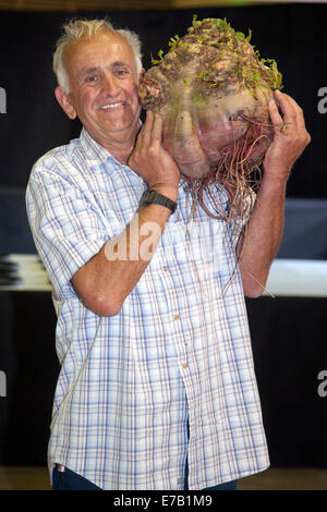 Harrogate, Yorkshire, UK. 11 Septembre, 2014. Ian Neale avec légumes géant, flawe4d, déformé, big, plantes, nourriture, une énorme betterave pesant 28lbs 4oz, à la Harrogate Automne Annuel Flower Show, attractions : le concours de légumes géants, est classé au top des trois événements de jardinage. Banque D'Images