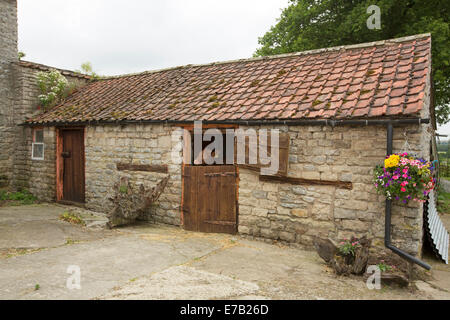 Old Stone attrayant d'équitation, avec toit en tuiles rouges, veau scrutant à porte, et suspension de fleurs sur French farm Banque D'Images