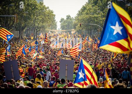 Barcelone, Espagne. Sep 11, 2014. Des milliers de Catalans en rouge et jaune shirts effectuer 'la vague' dans la Gran Via de Barcelone sur la journée nationale de protestation pour un référendum sur l'indépendance. Credit : ZUMA Press, Inc./Alamy Live News Banque D'Images