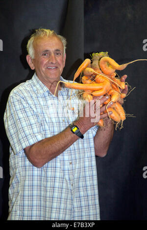 Harrogate, Yorkshire, UK. 11 Septembre, 2014. Ian Neale avec un légume géant difforme, difforme, déformée, mal formé, déformées, irrégulières, misproportioned, mal proportionné, mauvais, laid en forme carror à la Fleur d'automne annuel Show. Wttractions : le concours de légumes géants, est classé au top des trois événements de jardinage. Nouveau pour 2014 est d'Inspiration Street, une série de petits jardins dans le contexte d'une scène de rue traditionnelle. L'Avenue vous offre de beaux jardins, à plus grande échelle, en plus d'une nouvelle fonctionnalité avec l'esprit communautaire dans un jardin 'message' dessins de com Banque D'Images