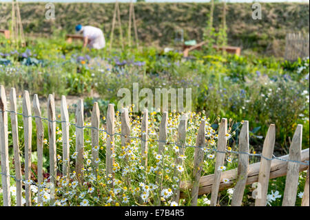 Jardinage... Banque D'Images