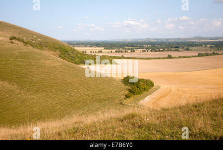 Chalk raide pente d'escarpe et de la vallée de Pewsey à l'est de près de Alton Barnes, Wiltshire, Angleterre Banque D'Images