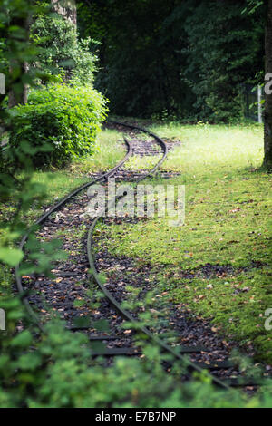 La gare ferroviaire dans le fourré. Banque D'Images