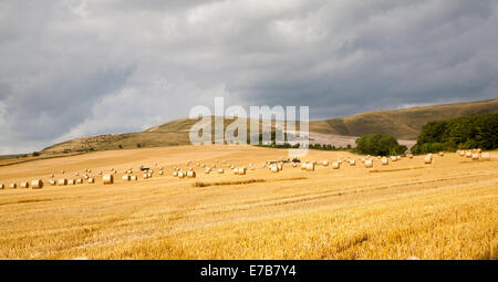 Tour de bottes de paille dans un champ arable récoltés sur la pente de l'escarpement de craie Marlborough Downs, Allington, Wiltshire, Angleterre Banque D'Images