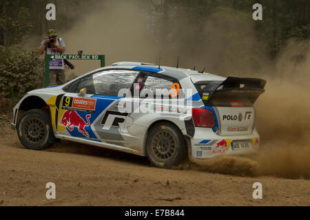 Coffs Harbour, Australie, vendredi, 12 Septembre, 2014. Andreas Mikkelsen suit une ligne à travers un coin en épingle spéciale pendant six de rallye d'Australie. Mikkelsen, roulant pour Volkswagen Motorsport World Rally Team a terminé le firist six étapes en quatrième place au classement général. Credit : Russell Hunter/Alamy Live News Banque D'Images