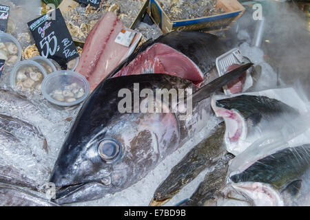 L'albacore, aussi 'Ahi' (Thunnus albacares), coupé en morceaux à un marché aux poissons, Chiang Mai, la province de Chiang Mai, Thaïlande Banque D'Images