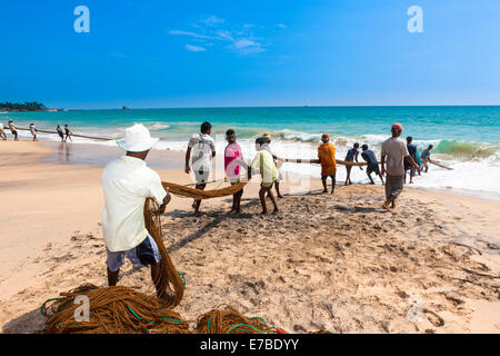 Les pêcheurs, les journaliers, le transport dans un filet sur la plage, près de Kottegoda, Province du Sud, Sri Lanka Banque D'Images