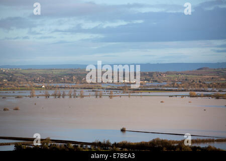 Les terres agricoles inondées près de Muchelney dans le Somerset. Banque D'Images