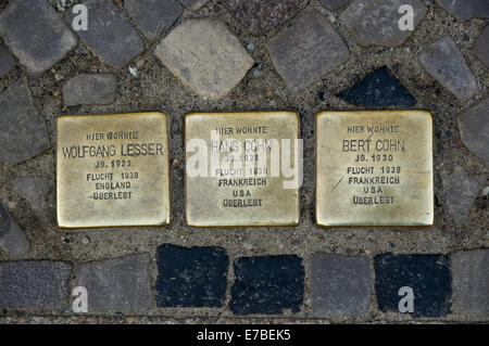 Plaques en laiton ou 'Stolpersteine' commémorant les anciens habitants juifs de chambre à Stralsund, Allemagne. Banque D'Images