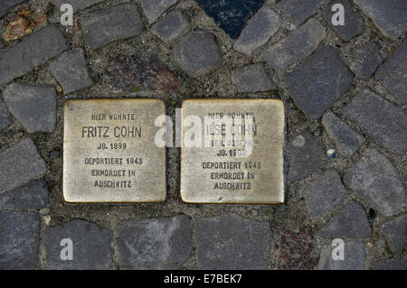 Plaques en laiton ou 'Stolpersteine' commémorant les anciens habitants juifs de chambre à Stralsund, Allemagne. Banque D'Images