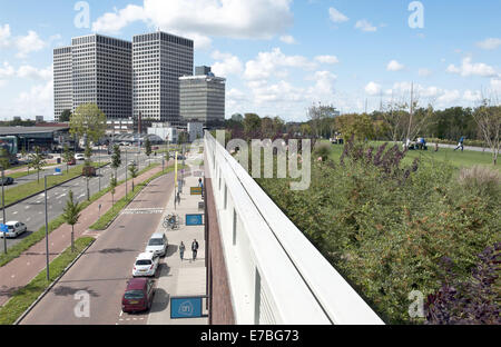 13 août 2014 - Rotterdam, Hollande méridionale, Pays-Bas, Holland - à Rotterdam est le plus grand parc public sur un immeuble commercial en Europe. Sur 9 mètres de haut, sur le dessus à Bigshops Marconi Plaza, est un parc verdoyant avec trois jardins à thèmes..Le parc est la mesure de huit hectares et offre une vue sur la ville et le port. Il est à 800 mètres de long, 80 mètres de large et 9 mètres de haut. Ci-dessous le parc est 25 000 m2 d'espace de vente au détail.Il n'est pas seulement une zone commerçante et un endroit où vous pouvez recréer, le même temps, c'est un barrage, une digue qui protège contre les inondations de Rotterdam l'eau plus ou moins comme le Delta Banque D'Images