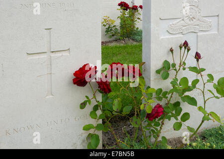 La Section des sépultures de guerre britannique de Dunkerque cimetière en France Banque D'Images