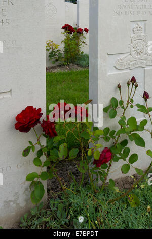 La Section des sépultures de guerre britannique de Dunkerque cimetière en France Banque D'Images