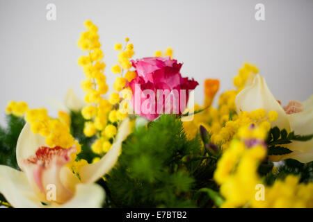 Composition de fleurs Banque D'Images