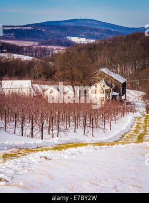 Vue d'une ferme d'hiver et de montagnes au loin dans les régions rurales de Adam's County, Maryland. Banque D'Images