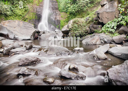 Cascade de gitgit dans les montagnes centrales de Bali, Indonésie, est un spectacle à voir ! Banque D'Images