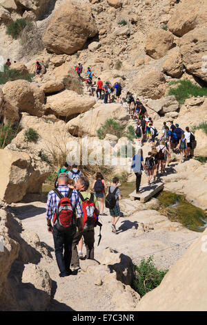 Groupe de personnes en randonnée dans l'oasis d'Ein Gedi et à proximité de parc national de Massada, Israël Banque D'Images