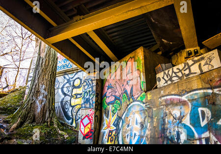 En vertu de la Graffiti Howard Street Bridge à Baltimore, Maryland. Banque D'Images